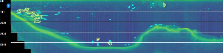 Fish Sonar Screenshot